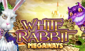 White Rabbit